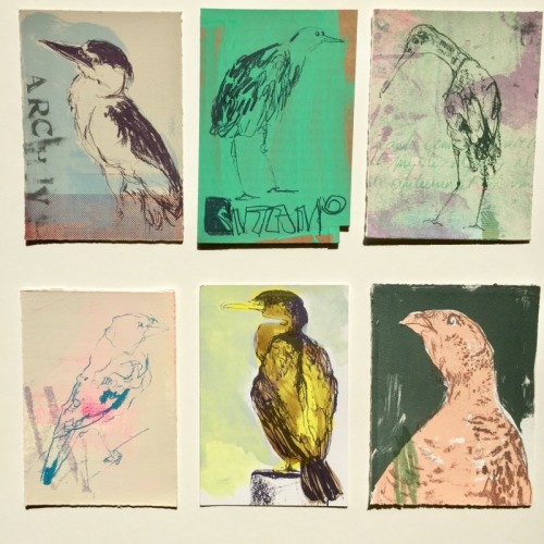 Kelly Stewart | Box of cards | screenprint.