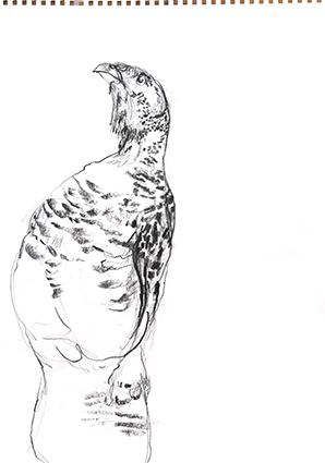 Kelly Stewart | Sketch 4 | pen and ink | A3 | NFS