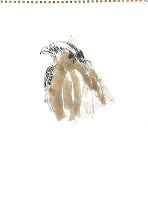 Kelly Stewart, Sketch 6,pencil&ink, A3,NFS