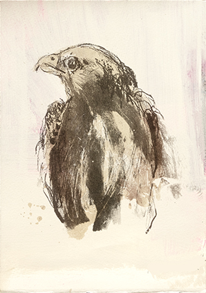 Kelly Stewart,Eagle,screenprint,20cm x 28cm,-ú45