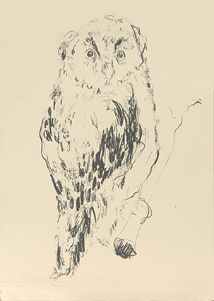 Kelly Stewart | Owl | screenprint on fabriano |  28cm x 38cm