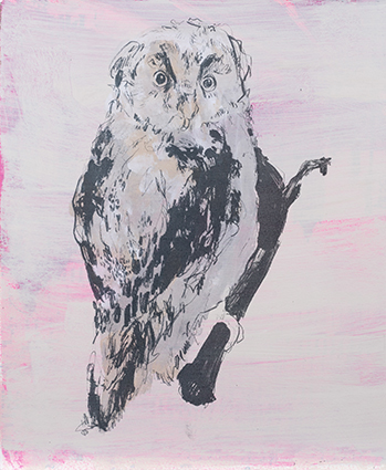 Kelly Stewart,Owl pink,screenprint,28cm x 38cm,-ú85