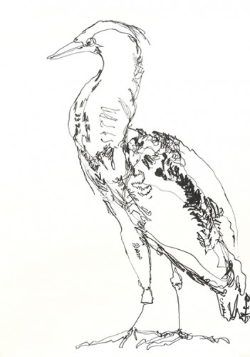 Kelly StewartSketch 1 pen&ink A3,NFS