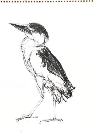 Kelly Stewart | Sketch 2 | pen & ink | A3 | NFS