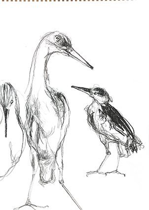 Kelly Stewart,Sketch 5, pencil, A3,NFS