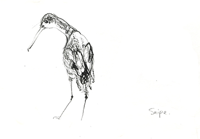 Kelly Stewart,Sketch 7,pencil, 29x 21cm,NFS