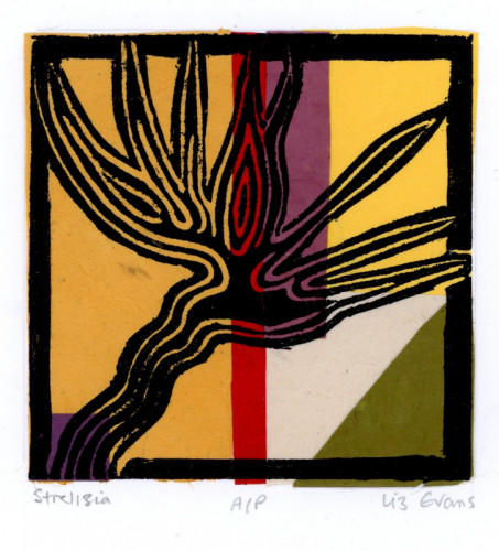 Liz Evans_Strelizia_Relief Print