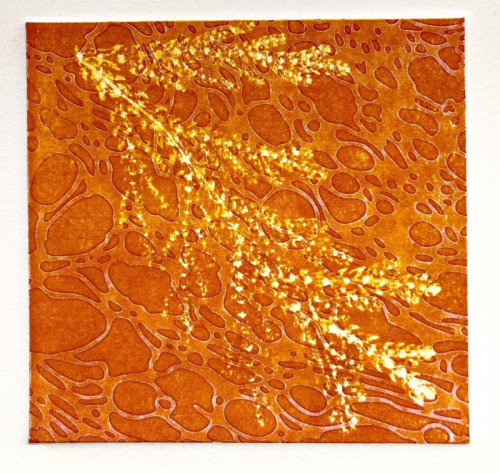 Louise Hughes Monotype I