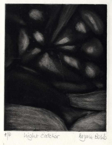 Lynne bebb Light Catcher mezzotint 16x13cm £30