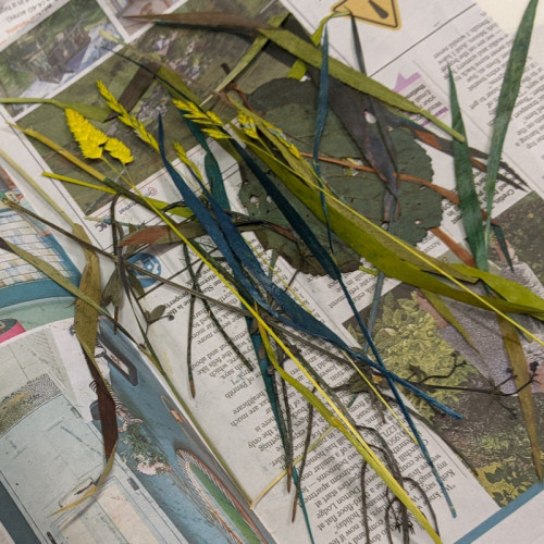 Monotype | Work in Progress 5