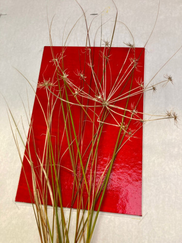 Monotype | Work in Progress 12