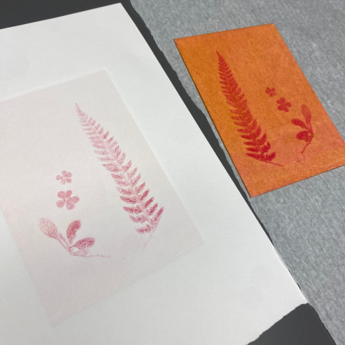 Monotype | Work in Progress 13