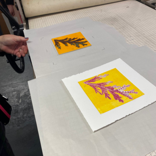 Monotype | Work in Progress 19