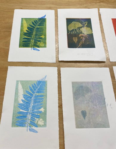 Monotype | Work in Progress 24