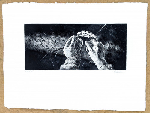 Peter Visscher | etching and aquatint