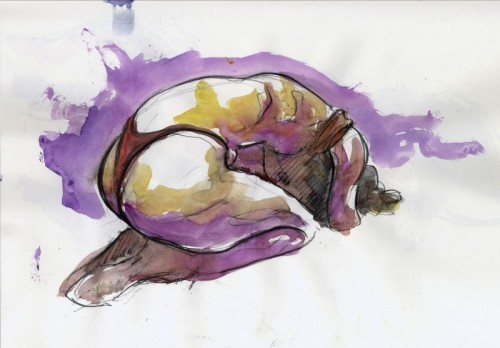 Simon Goss | Zoom Life Studies 2