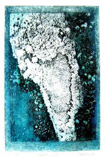 Ruth Parmiter Bay Barnacles photo etch 30 x 20cms £30