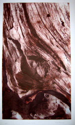 Ruth Parmiter 'Cedar 2'