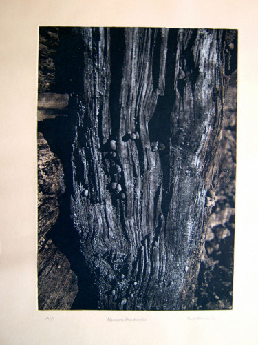 Mumbles Breakwater: Photo etch with chine colle - 28x51cm. £20.00