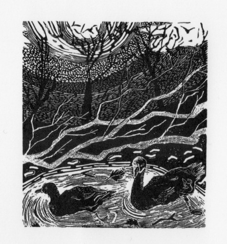 Sally Hands | Light and Water | wood engraving | 7x6cm | £80