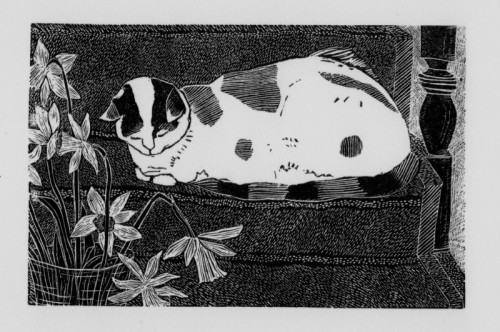 Sally Hands | Sofya's cat  | wood engraving |  7 x 10 cm  | £80