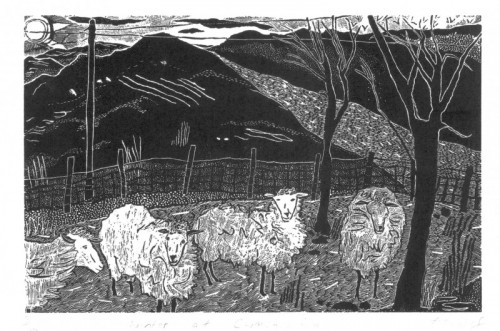 Sally Hands | Winter at Cwmchwefru | wood engraving  | 10x18cm | £110