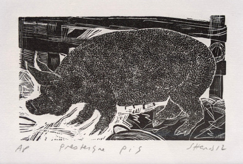 Sally Hands | Presteigne Pig | wood engraving | 7 x 12cm | £70