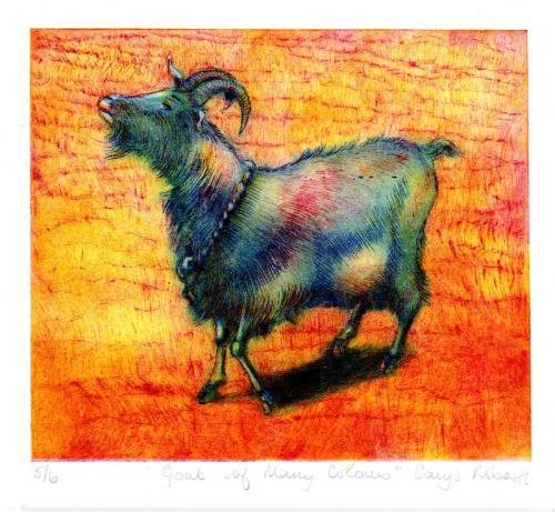 Carys Roberts 'Goat of Many Colours'  Drypoint