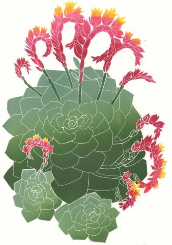 'Echeveria', linocut jigsaw, approx image size 43 cm x 30cm