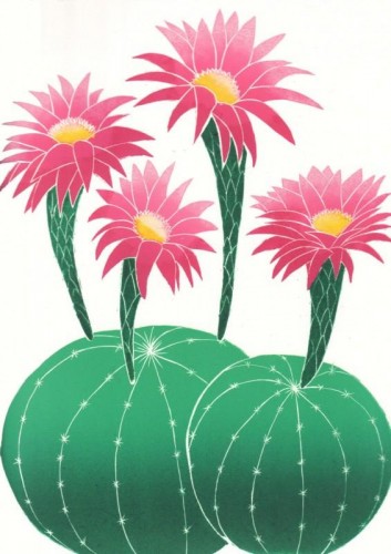 'Echinopsis', linocut jigsaw, approx image size 43 cm x 30cm.
