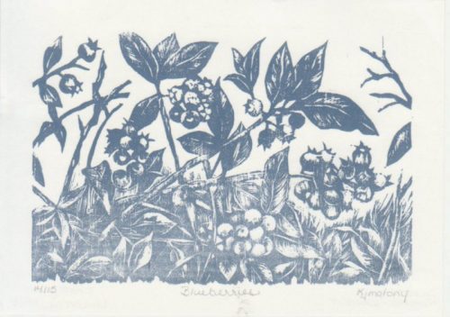 07-Kathleen-Maloney-Blueberries-001