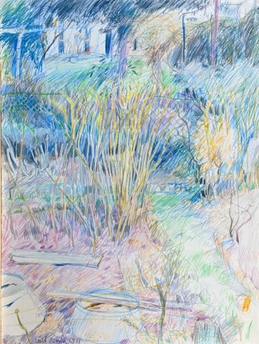 14 David Barron Raspberry Canes coloured pencil 77x57cm