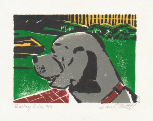 16-Sam-Mitchell-Bailey-001