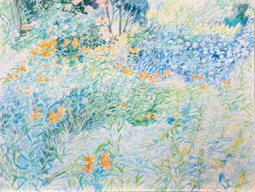 16 David Barron Lilies coloured pencil 77x57cm