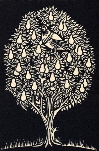 1976  “Partridge in a Pear Tree” linocut 120 x 185 mm