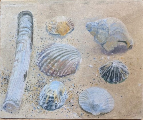 72 David Barron Oxwich Bay Shells III acrylic on canvas 25x30cms