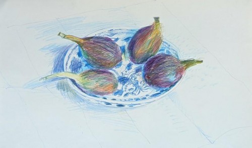 87 David Barron Figs on a Blue and White Dish coloured pencil 30x40cms