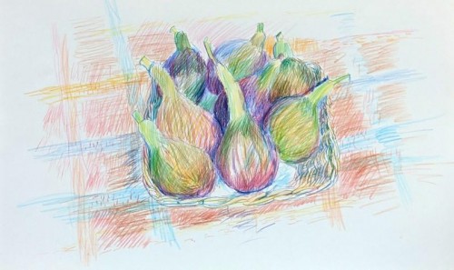 88 David Barron Group of Figs coloured pencil 31 x 46cms