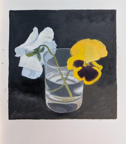 90 David Barron  White and Yellow Pansies oil on paper  28x26cms