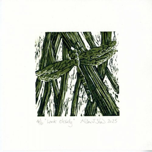 Alison-shaw Look-Closely Linocut