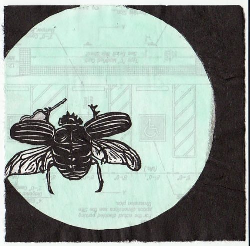 Anna-Paradis-Kansas-Fiddlers-Flight