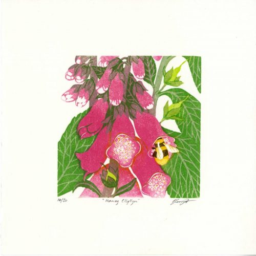 Beth-Knight Maneg-Ellyllyn-Foxgloves Linocut