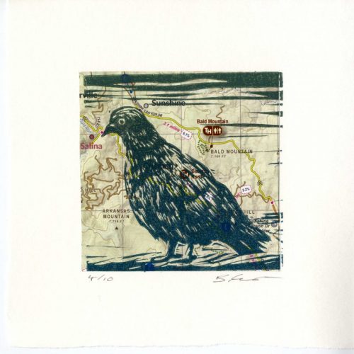 Bill-Chambers Pigeon-on-Map-of-Boulder Linocut-with-Chine-Colle