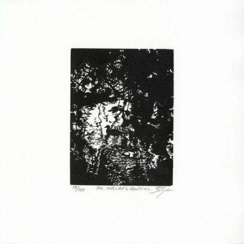 Blaze-Cyan The-Mallard-at-Fonthill Wood-Engraving