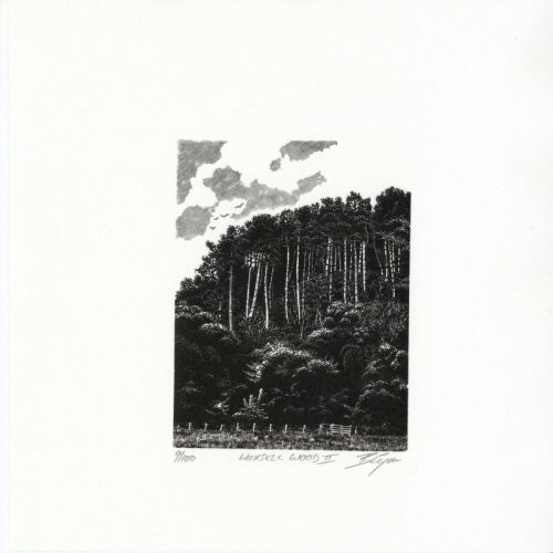 Blaze-Cyan Worsell-Wood-II Wood-Engraving