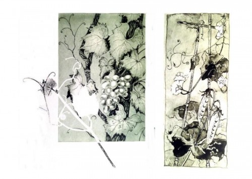 Carys Roberts | Photopolymer 