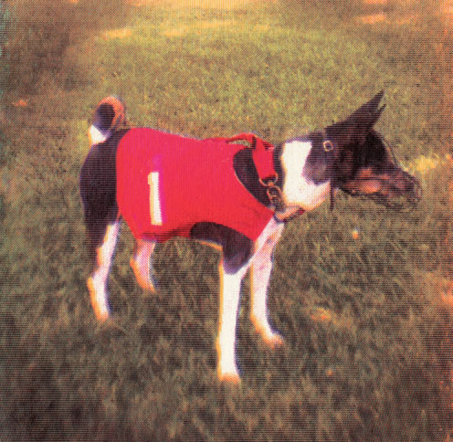 Christopher-Clark-Illinois-Butch