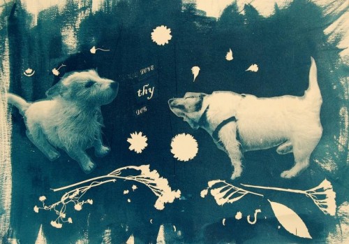 Kara Seaman 'Love thy Dog' cyanotype