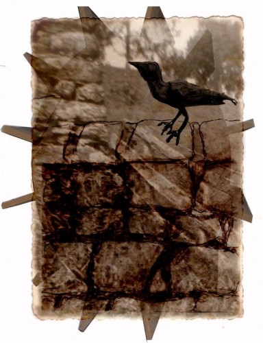 Lynne Bebb m-y-w  Digital Print