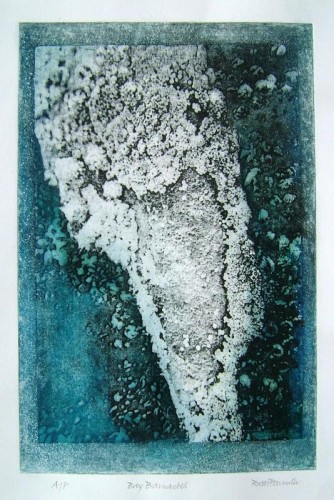 Ruth Parmiter 'Bay Barnacles'